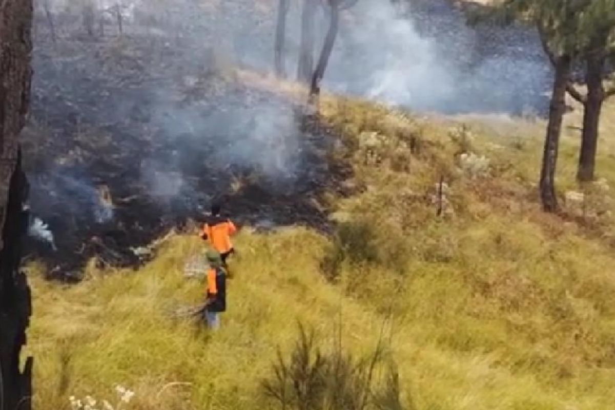 Kebakaran Hutan Gunung Lawu Meluas ke Ngawi