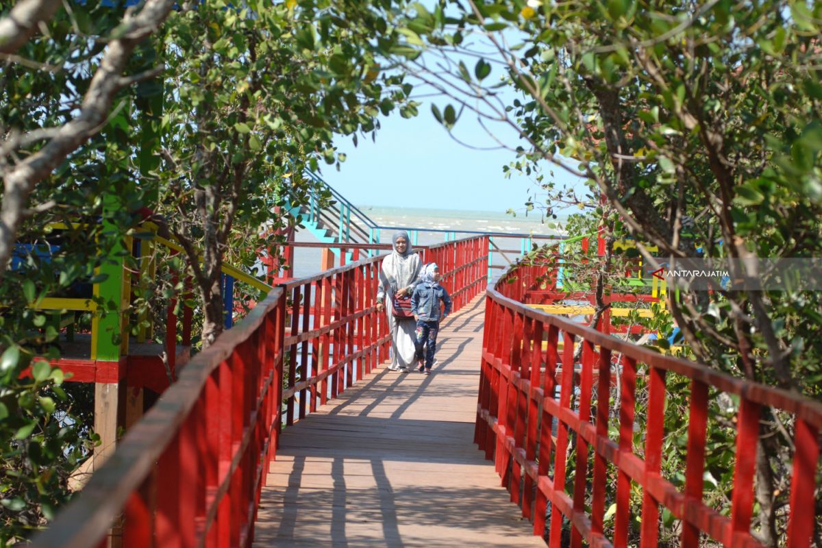 Kadin Jatim Dorong Perencanaan Neraca Mangrove