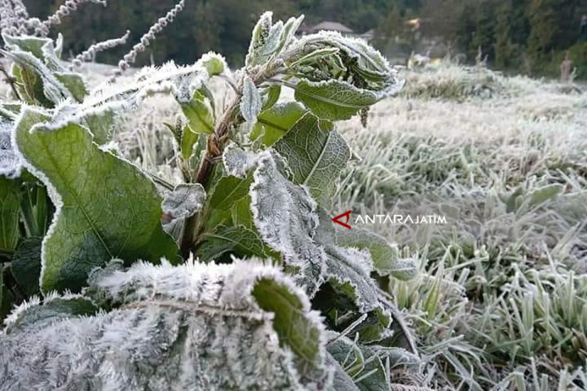 Fenomena Embun Salju di Gunung Bromo