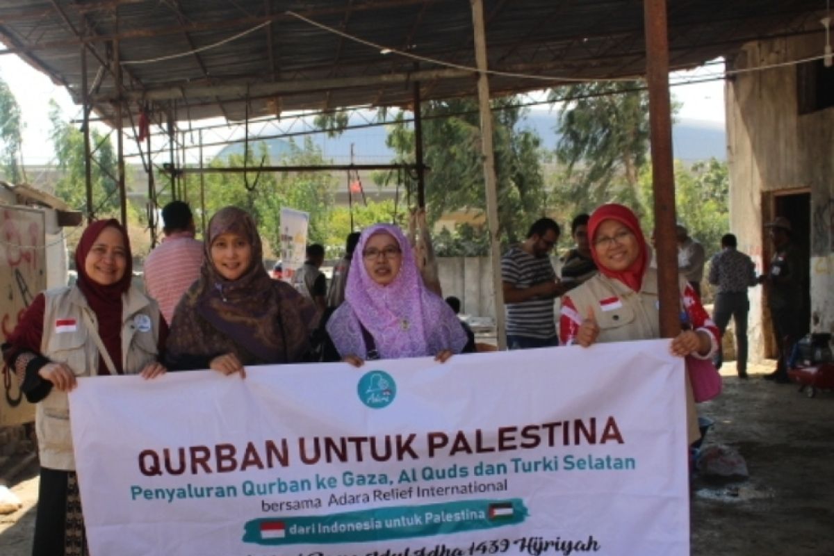 Adara Relief dan Salimah salurkan kurban di Pengungsian Palestina