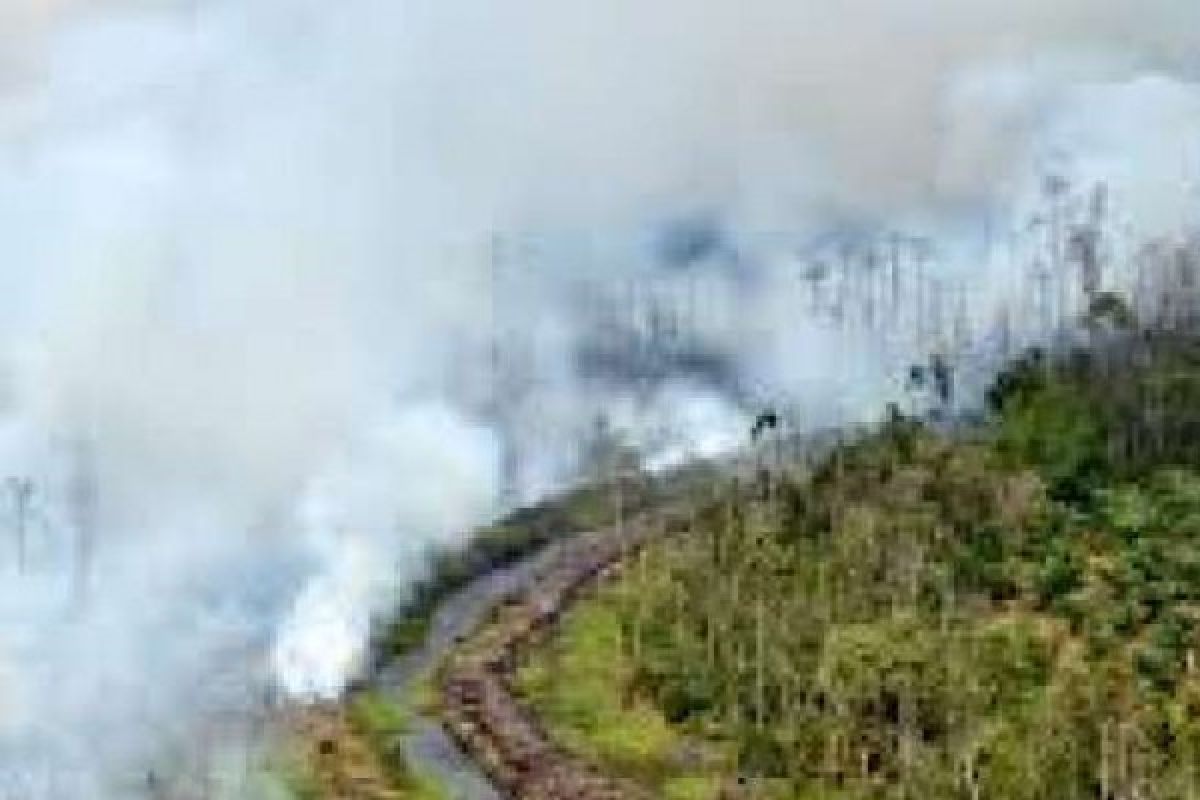 Akibat Kebakaran Lahan Yang Semakin Meluas, Warga Riau Terpaksa Mengungsi