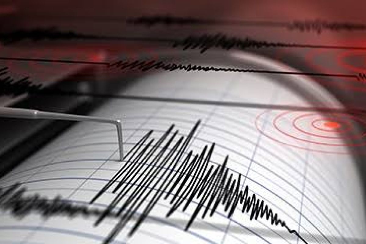 Gempa tektonik 5,9 SR guncang Dobo