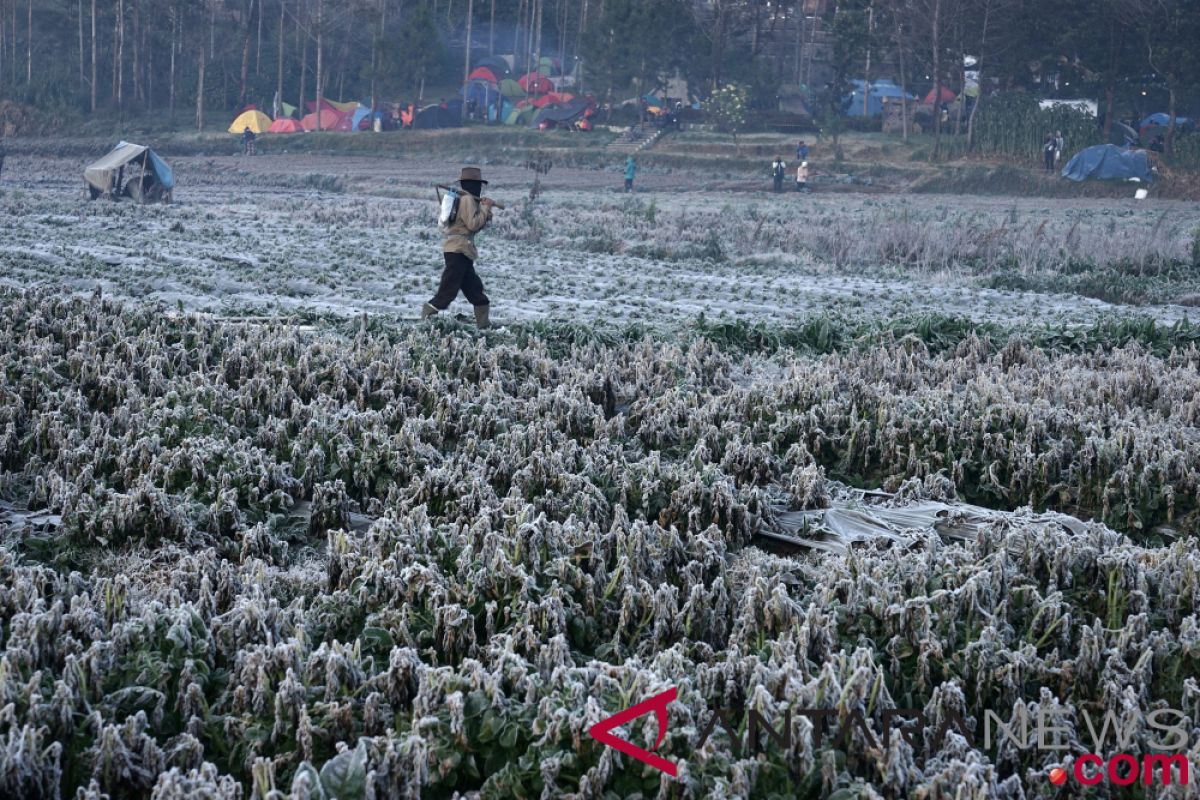 Milyarder Inggris paksa ratusan perusahaan pangkas emisi gas