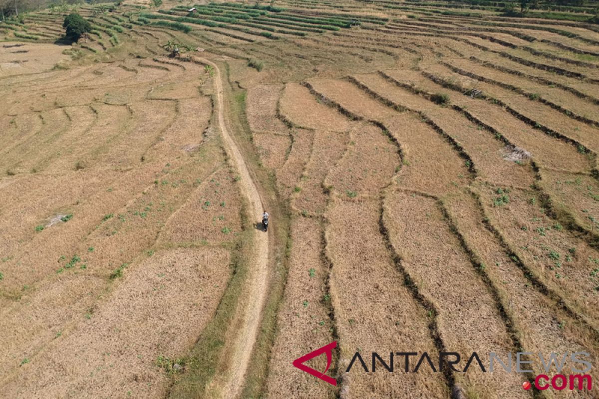 Purwakarta waspadai ancaman kekeringan dan kebakaran hutan