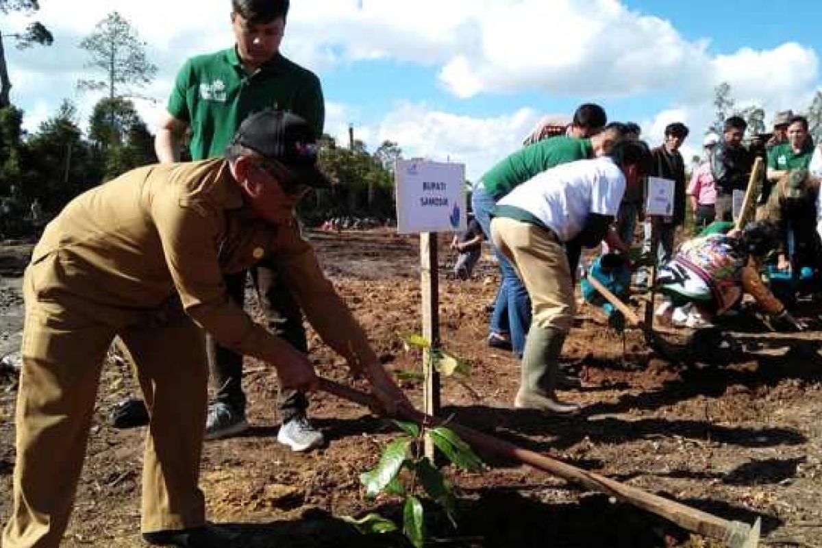 20.000 bibit pohon untuk hutan Tele Samosir