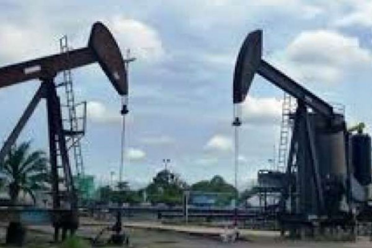 Bahas Pengelolaan Blok Rokan, LAM Riau Temui Pertamina