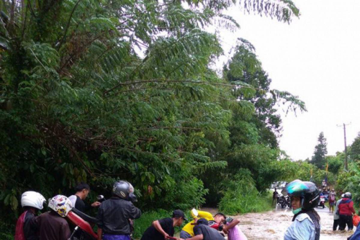 Ratusan kendaraan terjebak banjir di  Palolo