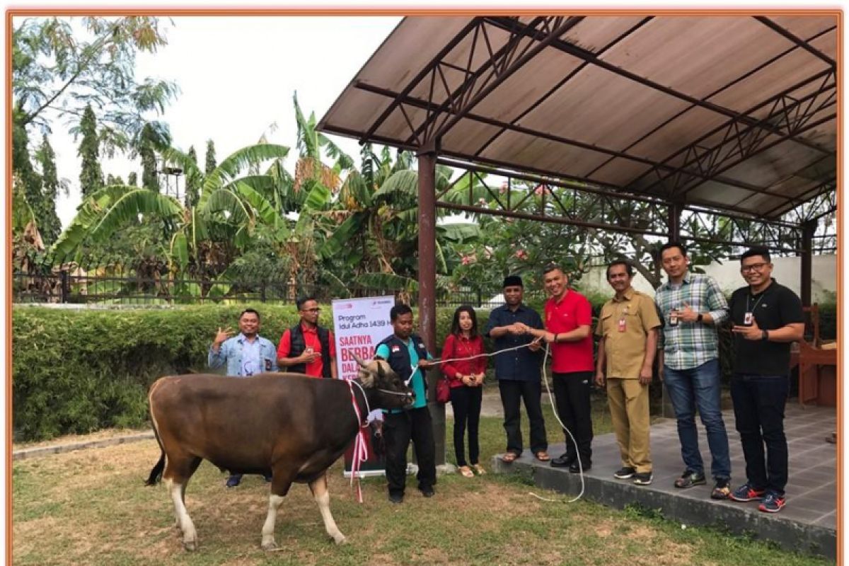 Hari Raya Idul Adha, Telkomsel serahkan 740 ekor hewan kurban