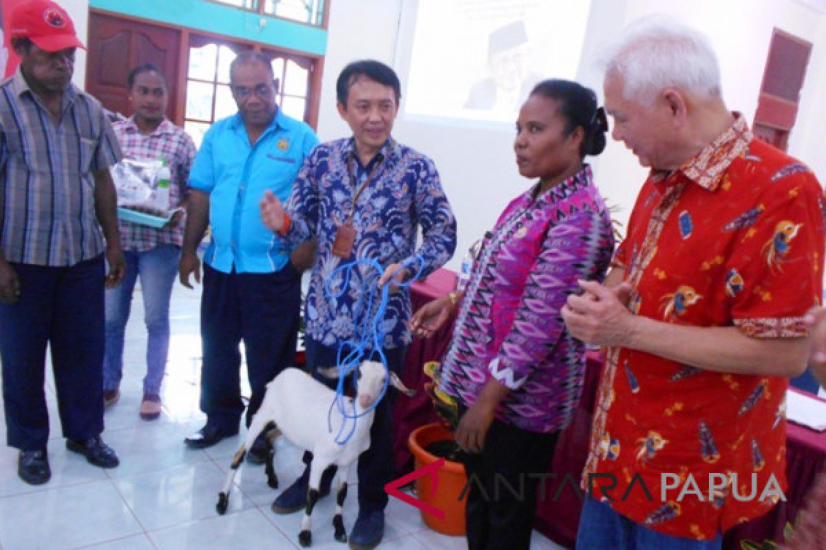 BPPT jadikan Biak sentra peternakan kambing Papua