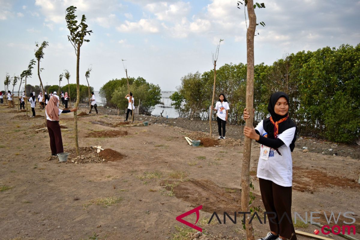 50.000 hektare lahan jadi target penghijauan