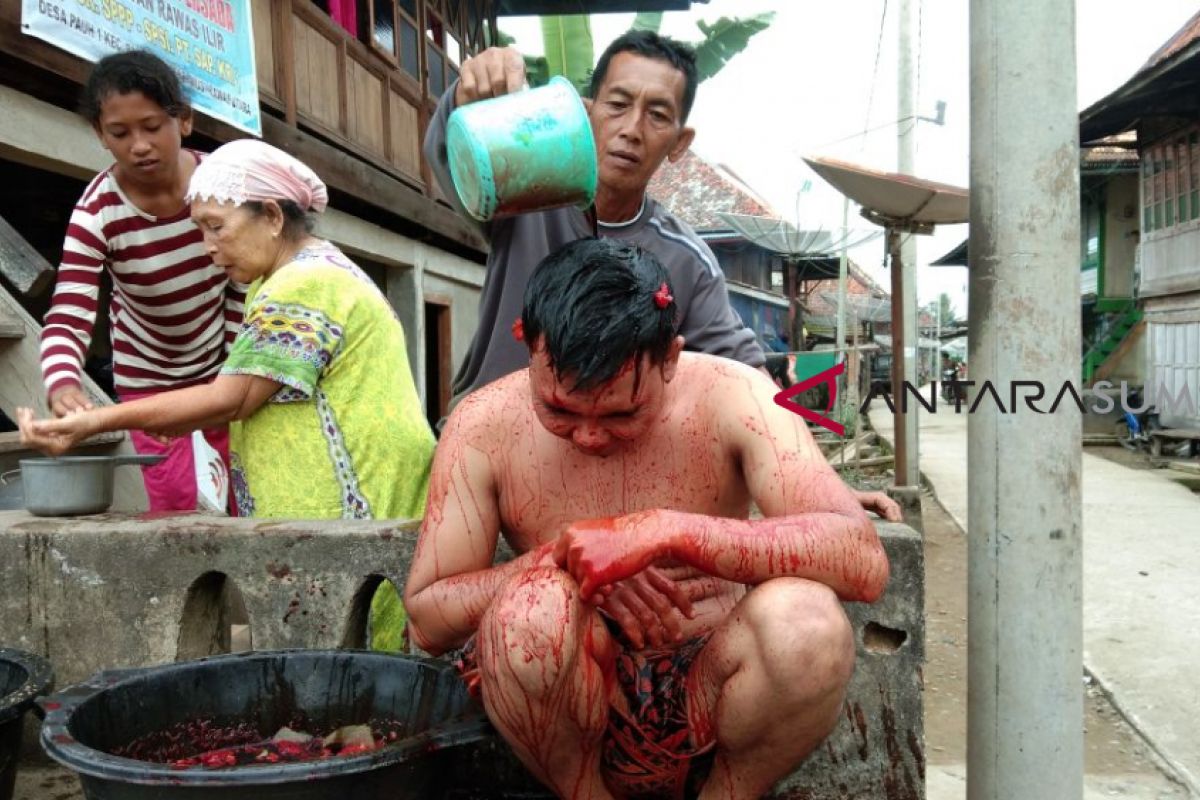 Warga Musi Rawas Utara mandi darah kerbau