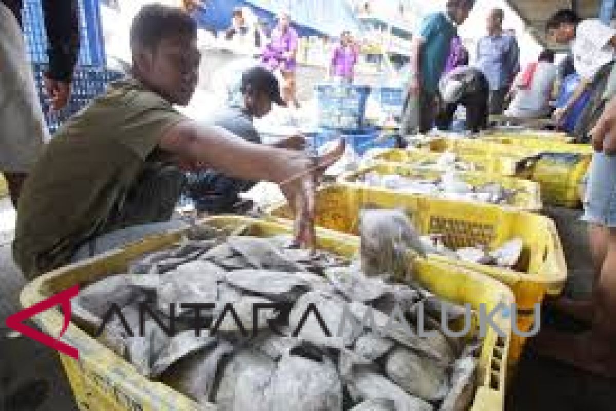 Ikan segar di pasar Ambon murah