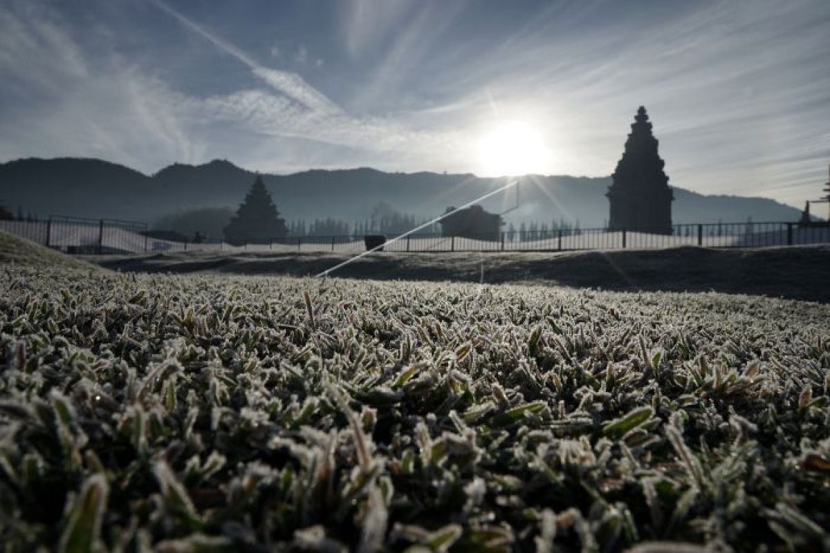 Dataran Tinggi Dieng dinilai potensial jadi destinasi wisata bertaraf internasional