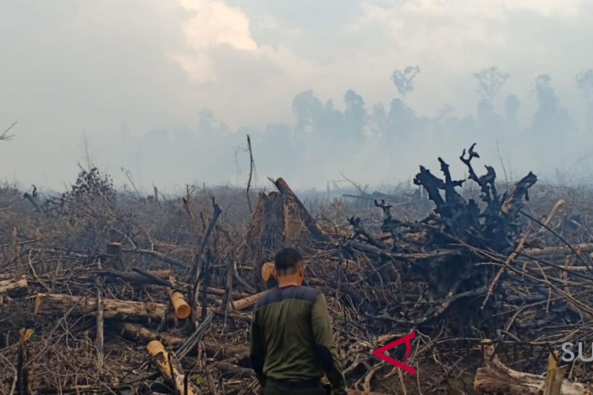 Selama delapan bulan, 856,12 hektare hutan dan lahan di Aceh terbakar