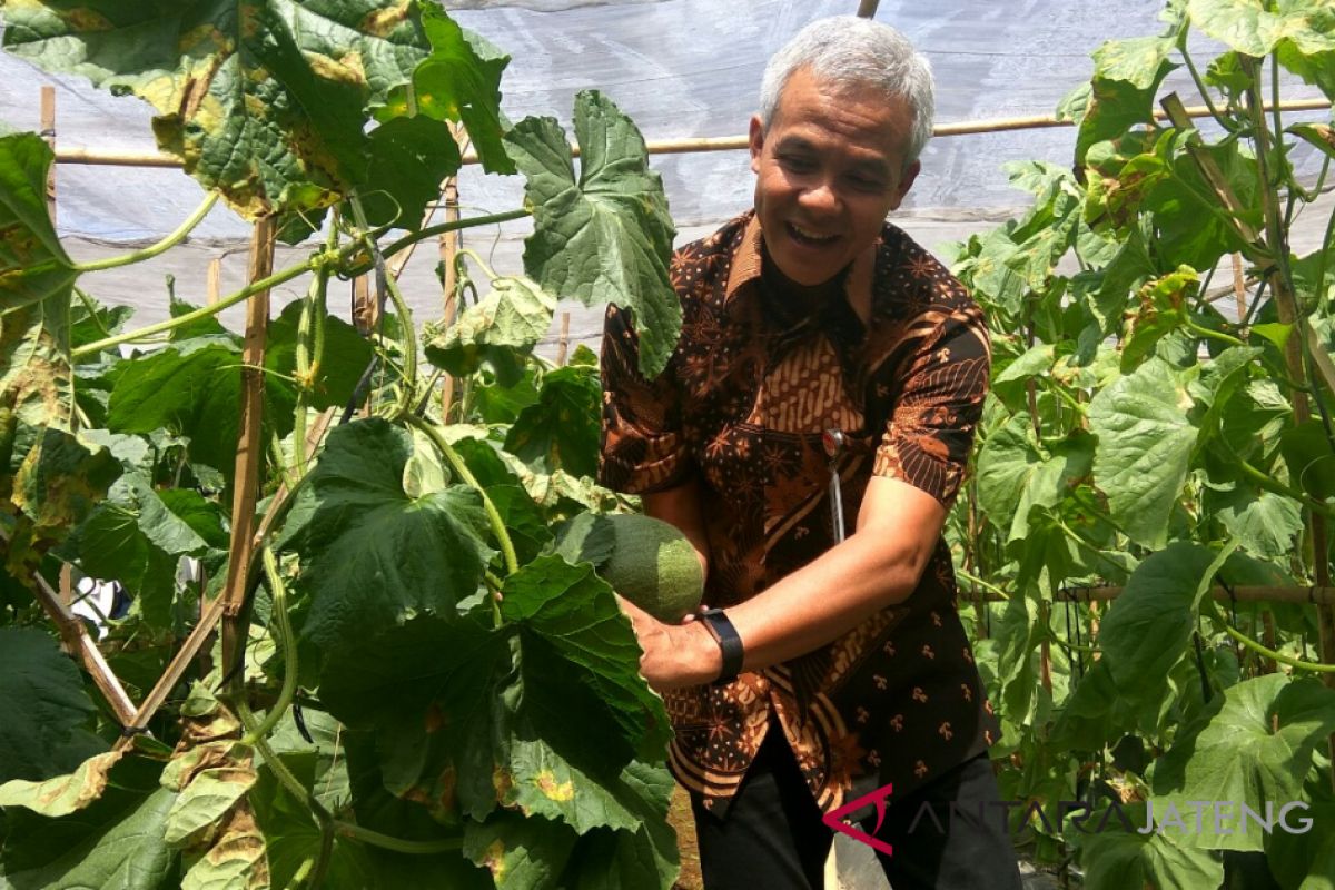 Ganjar dorong petani Jateng beralih pertanian organik