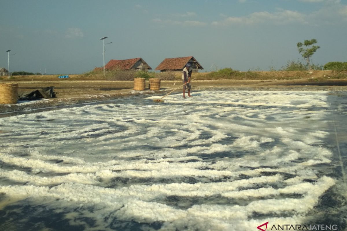 Petani garam Jepara keluhkan rendahnya harga garam