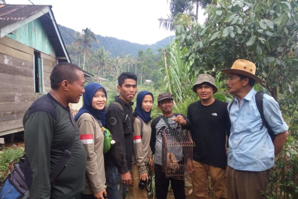 Tahu sebagai hewan yang dilindungi, warga Agam serahkan Kukang ke BKSDA