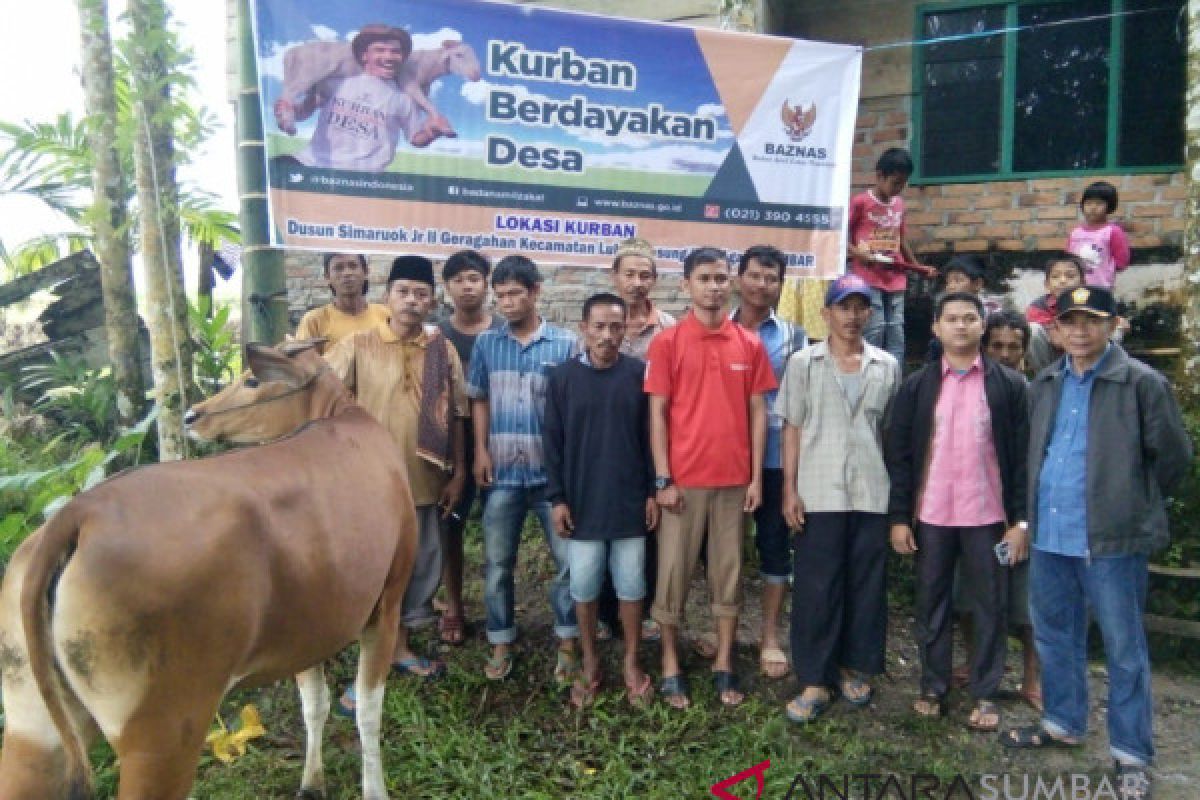 Baznas Agam salurkan hewan kurban untuk masyarakat pelosok