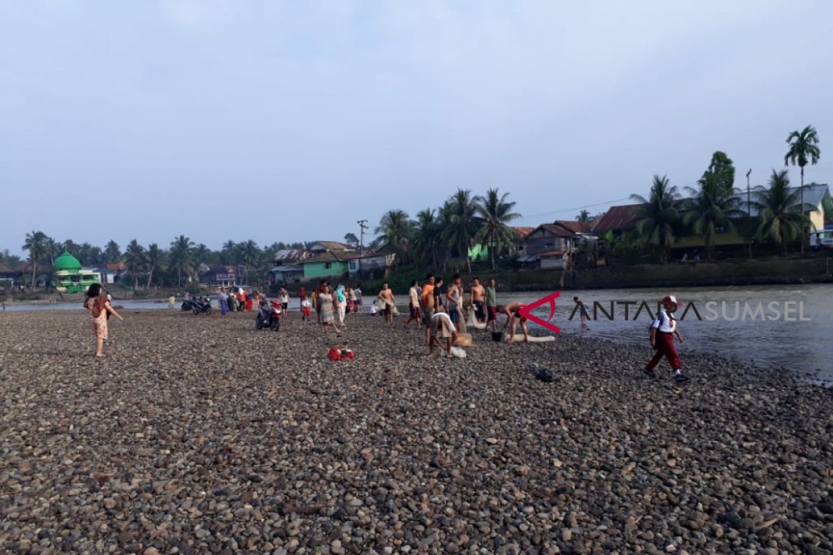 Pemkab Bonebol Tebar Benih Ikan di Persawahan Minapadi