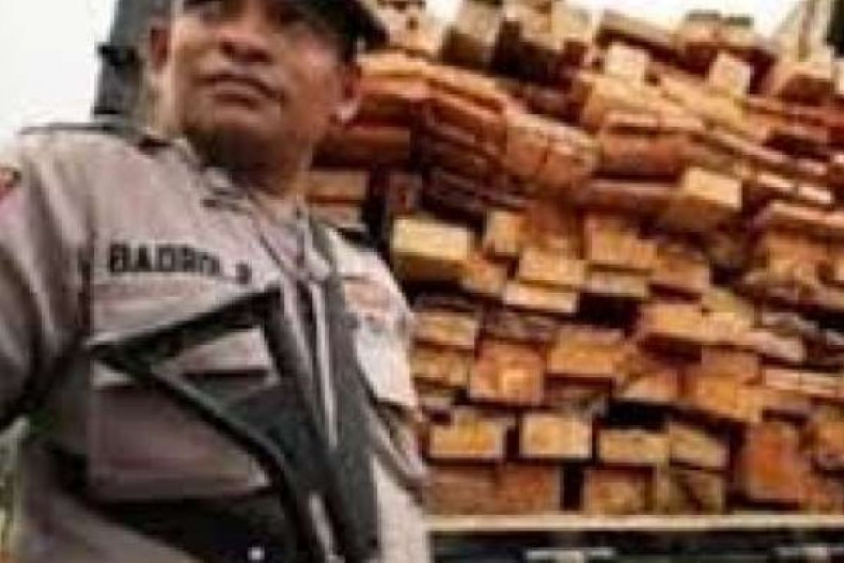 Jajaran Polres Amankan Truk Bawa Kayu Ilegal