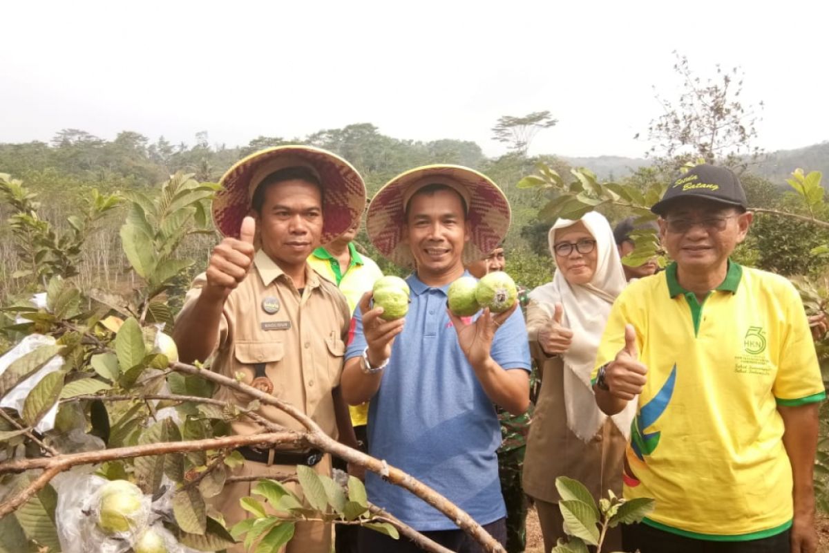 Wisata buah, kunjungi Kampung Buah Bandung di Batang
