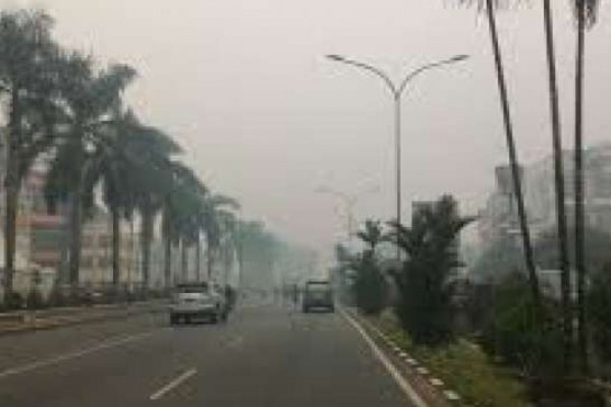 Kabut Asap Dampak Kebakaran Hutan Dan Lahan Mulai Melanda Bengkalis