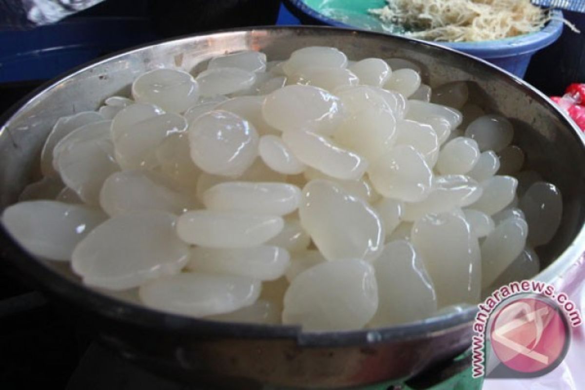 Kolang kaling memiliki beragam manfaat bagi tubuh