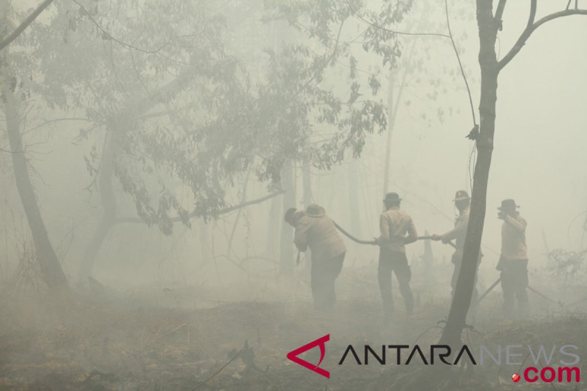 Kebakaran lahan di Hulu Sungai Selatan meluas