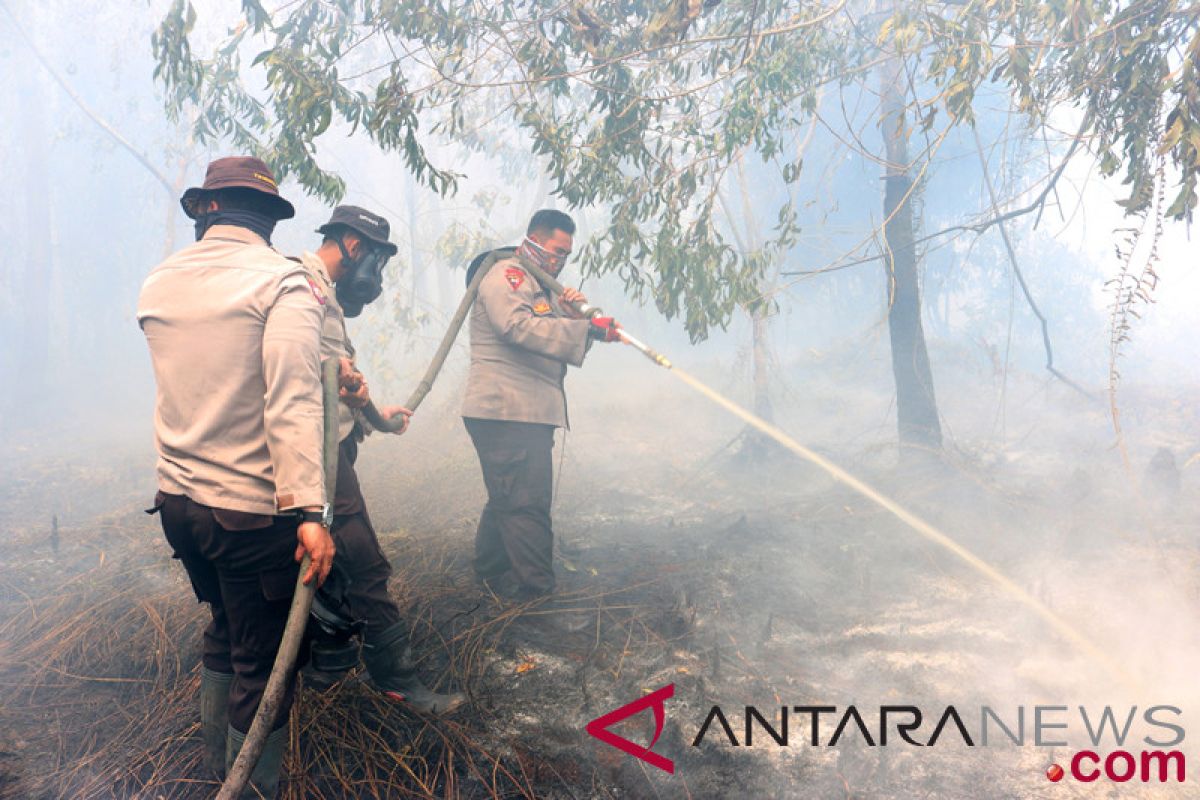 1.500 hektare lahan di Kalsel terbakar selama 2018