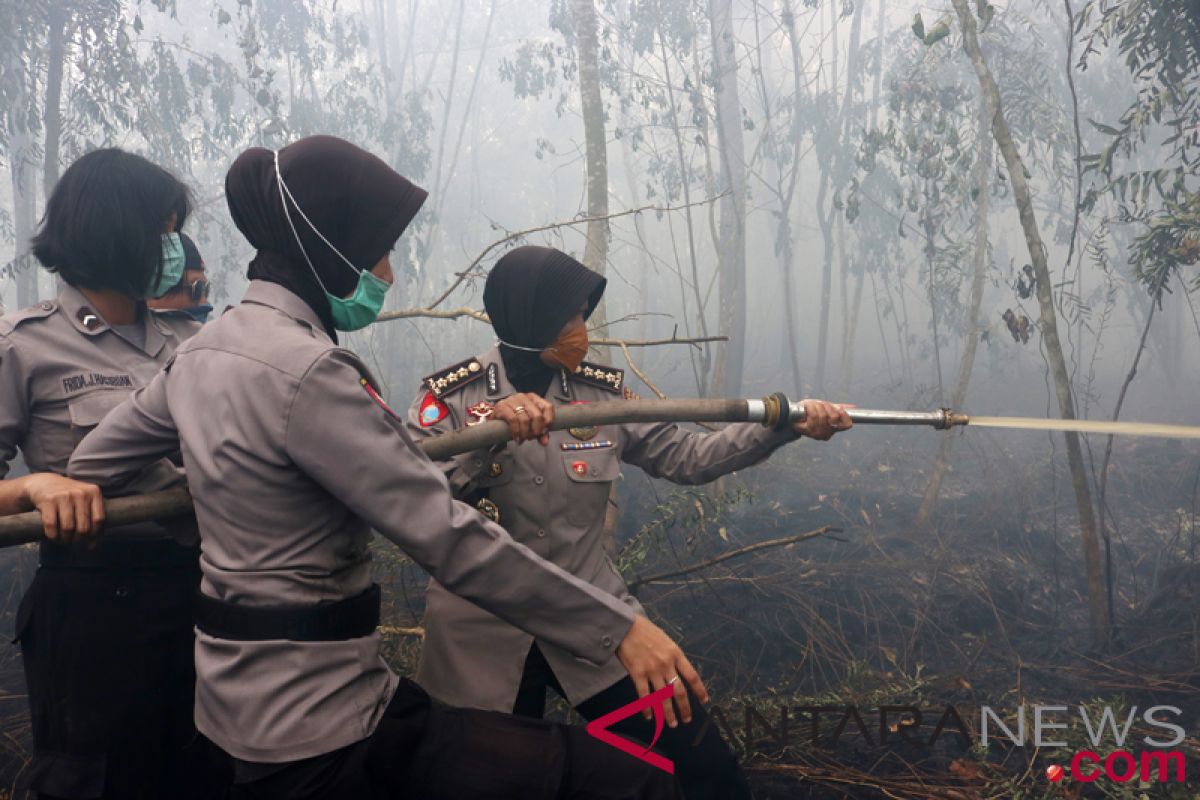 KLHK minta semua hentikan aktivitas pemicu karhutla