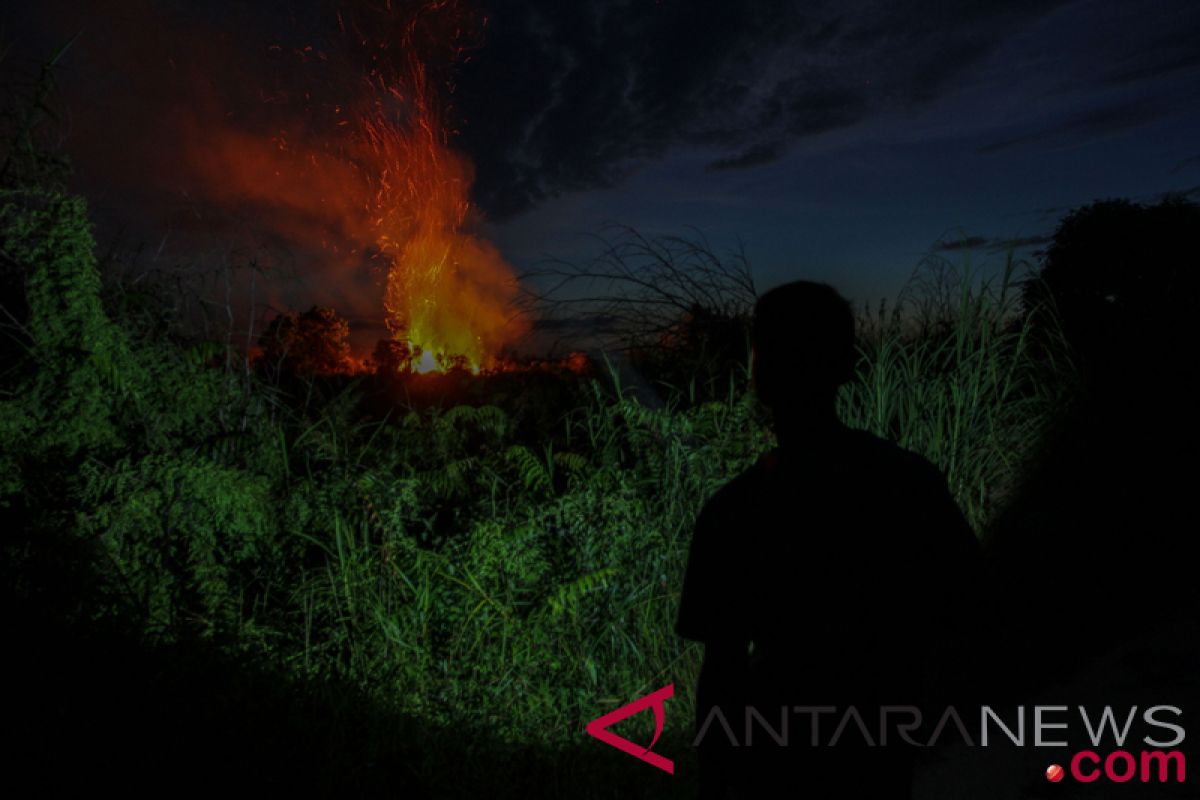 Sebagian besar hutan-lahan Riau dalam keadaan mudah terbakar