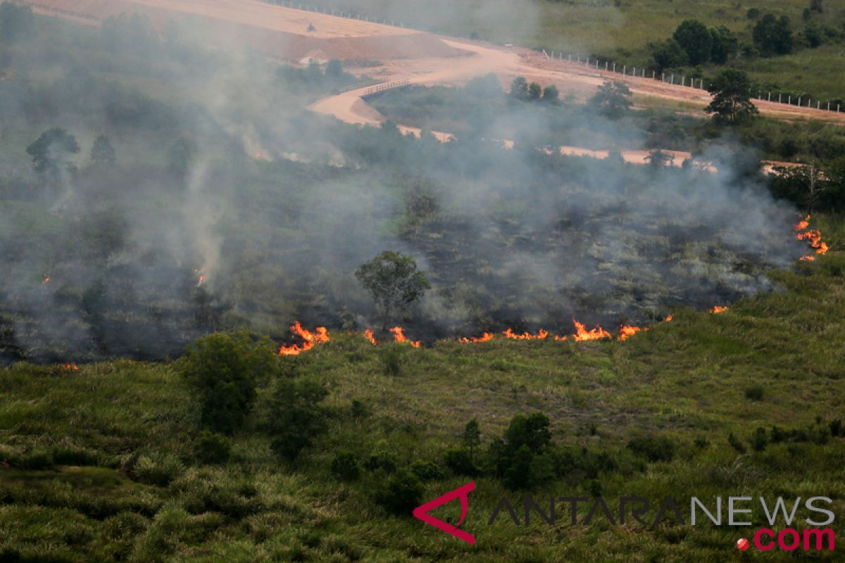 Titik panas indikasi kebakaran hutan tersebar di Pulau Sumatera