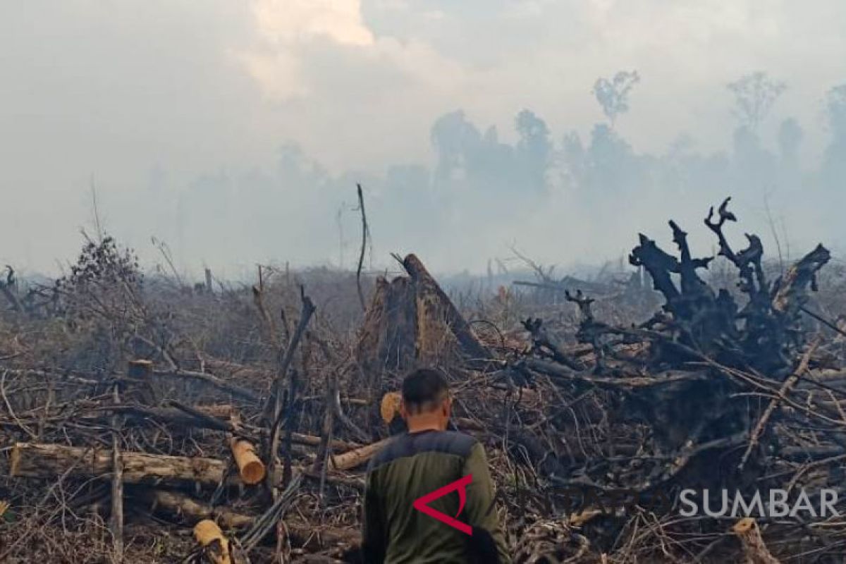 Kebakaran lahan gambut di Tapan belum mampu dipadamkan