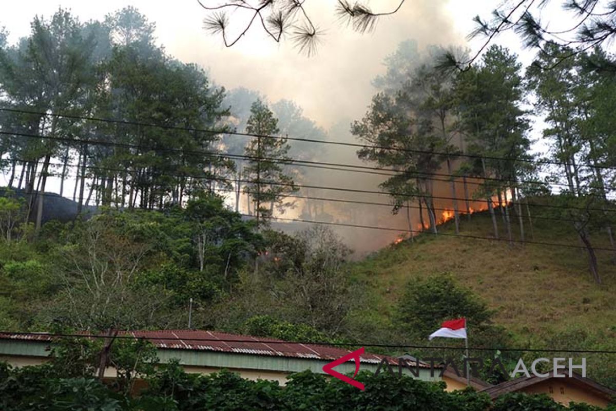 65 hektar lahan terbakar di Bener Meriah