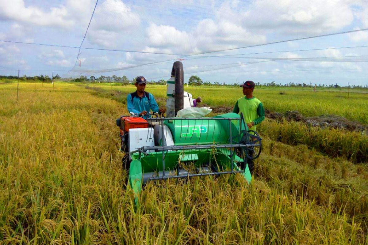 Bantuan alsintan betul-betul dirasakan petani Sukamara