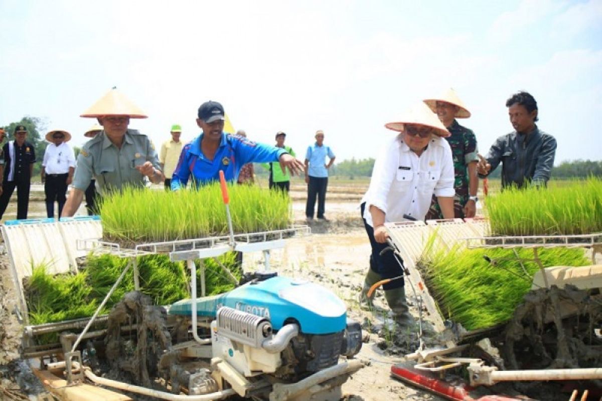 Kelompok tani OKU tunggu bantuan bibit padi