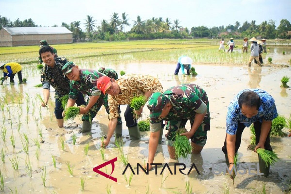 Kementan bantu alat pertanian petani Sumsel