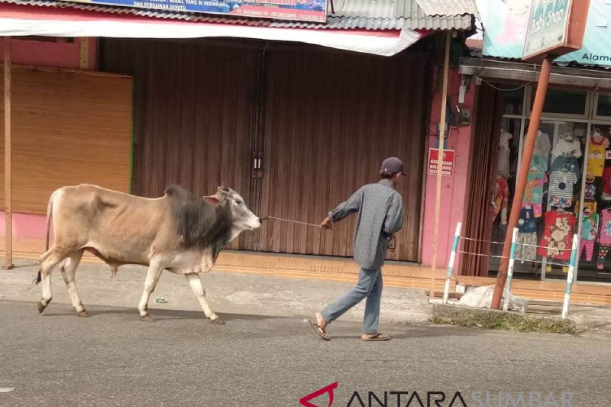 Korban Puting Beliung Mengungsi Ke Rumah Aman