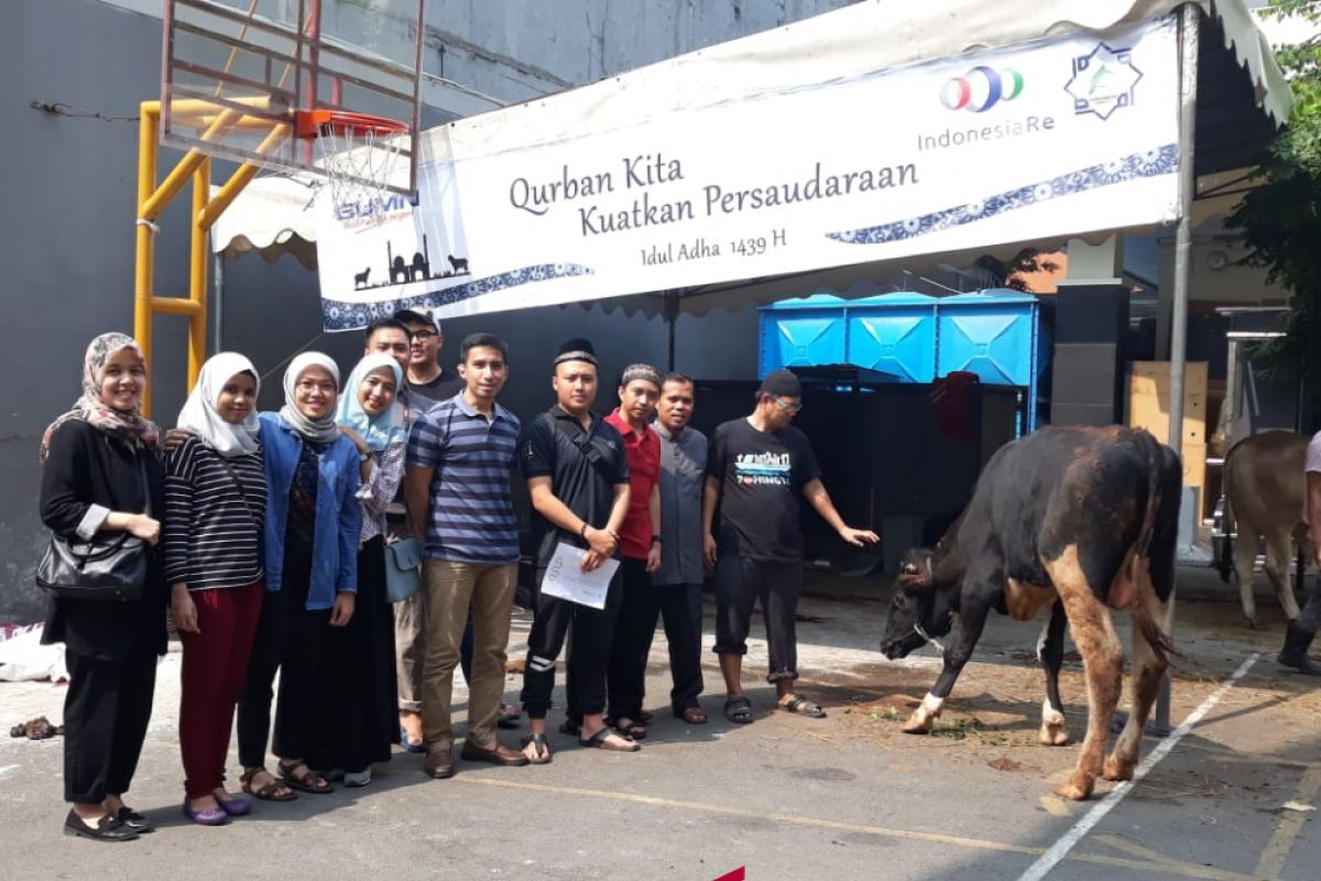 Peduli warga sekitar, Indonesia Re berkurban empat ekor sapi
