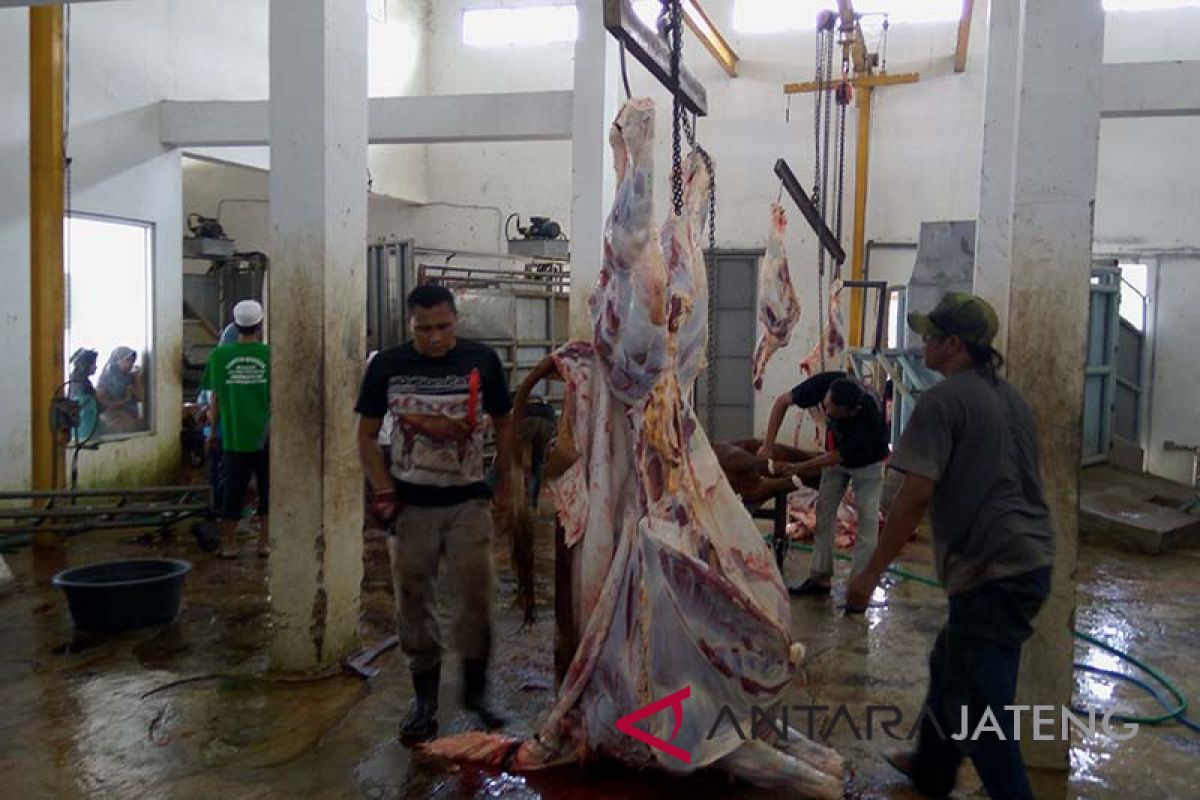 Citimall Bagikan Paket Daging Kurban Kepada Masyarakat