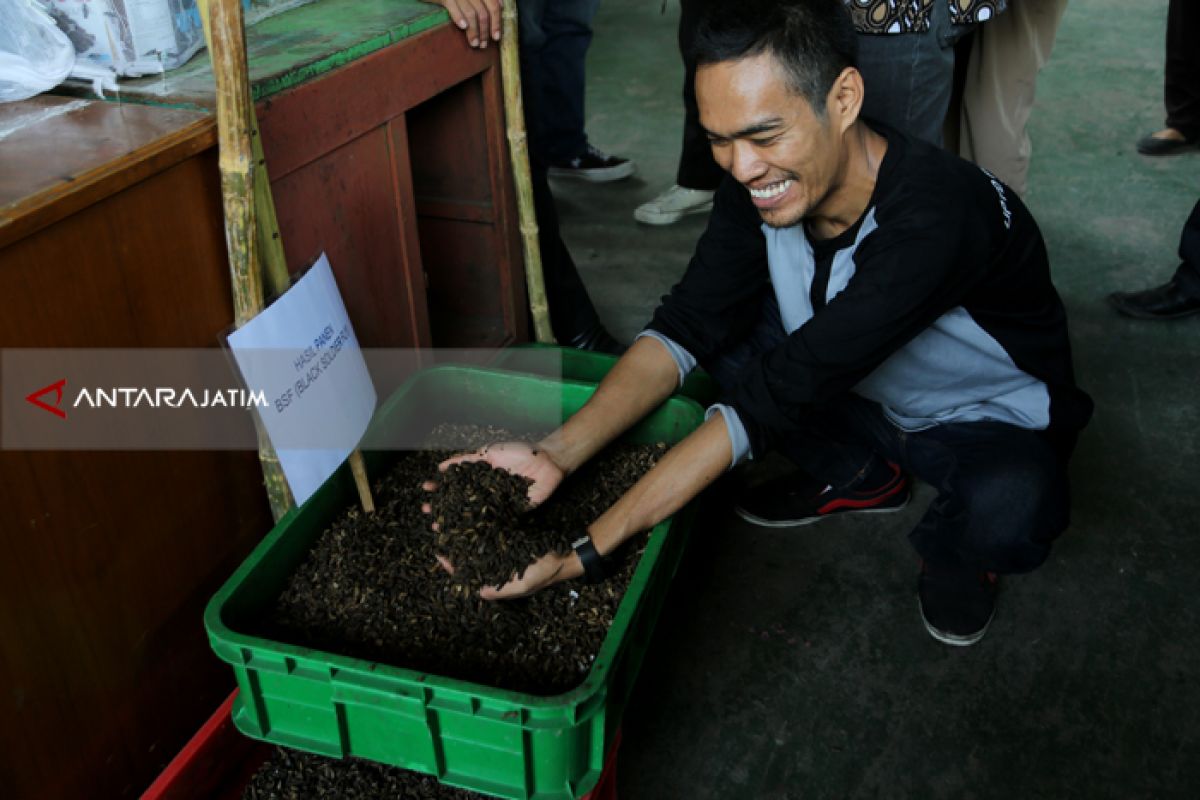 Surabaya Terapkan Teknologi BSF Kurangi Limbah Rumah Tangga