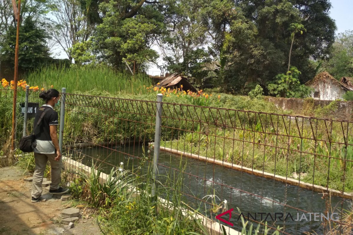 Pabrik Gula Rendeng bantah limbahnya cemari sungai