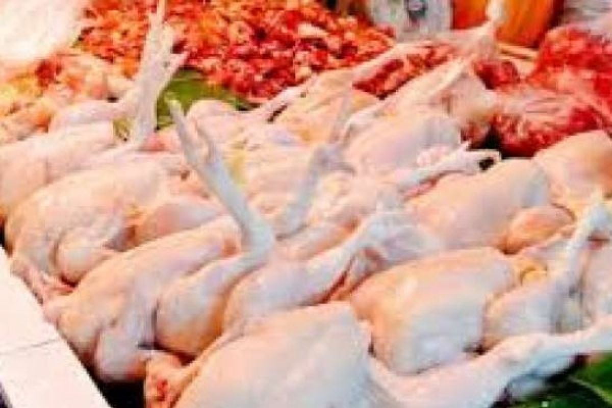 Menyambut Hari Raya Idul Adha, Harga Ayam Potong Di Pekanbaru Naik