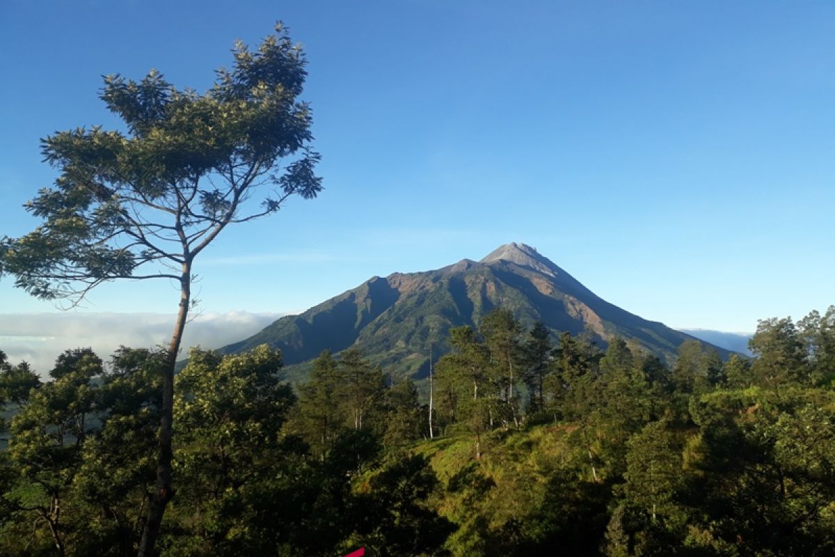 Gunung Merapi keluarkan lima kali guguran Lava