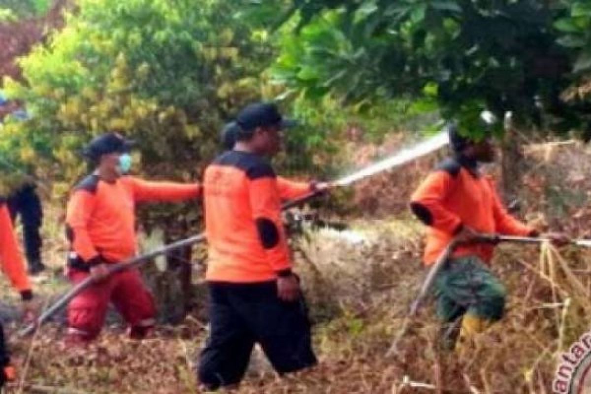 Meski Tak Temukan Kebakaran Baru, BPBD Bengkalis Tetap Turun Tiap Hari