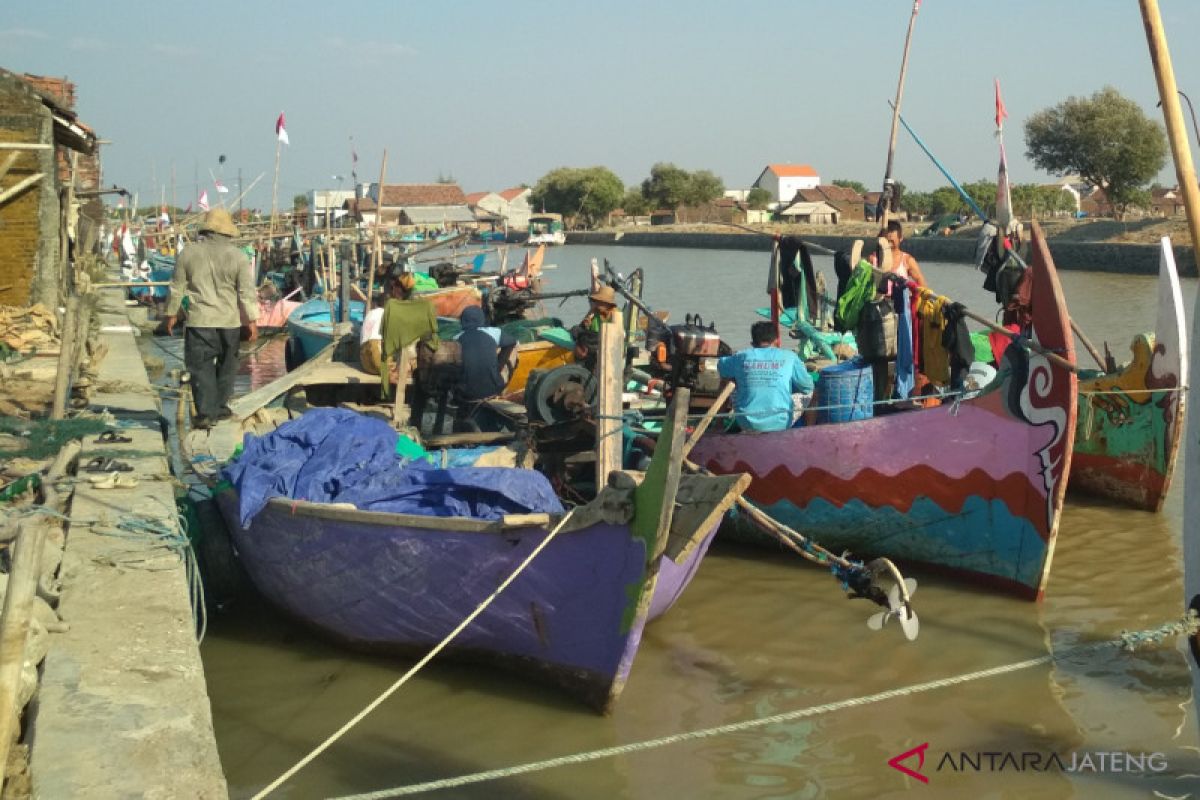 Sekali melaut, nelayan Jepara raup Rp1 juta lebih