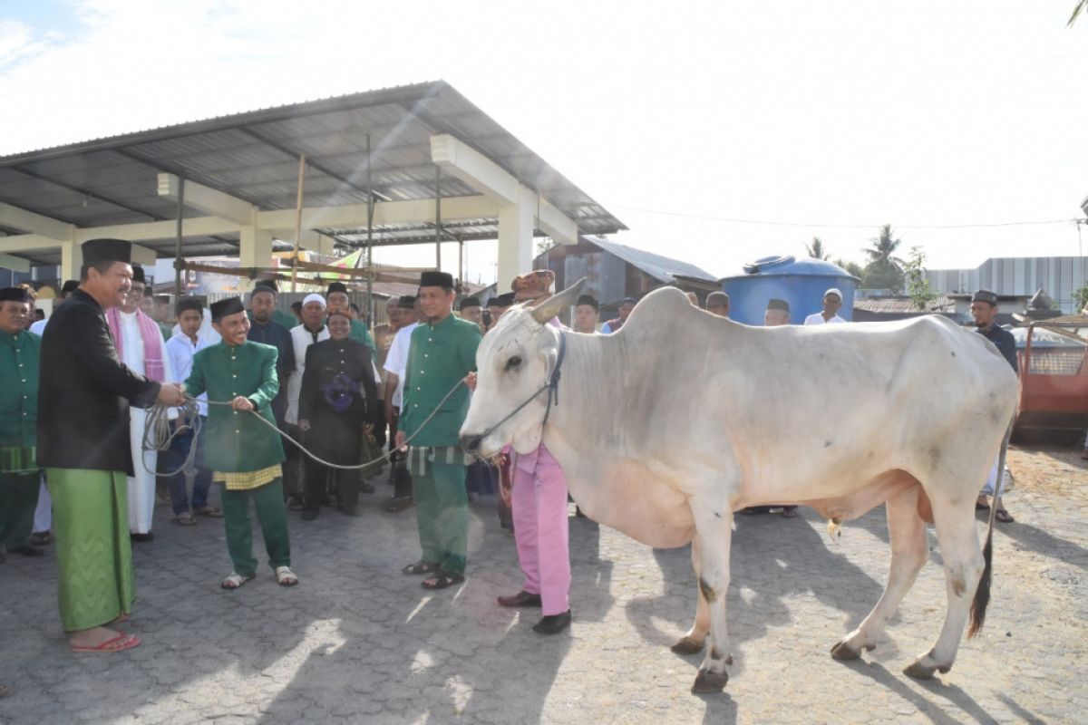 2.457 Hewan Dikurbankan Di Kabupaten Gorontalo