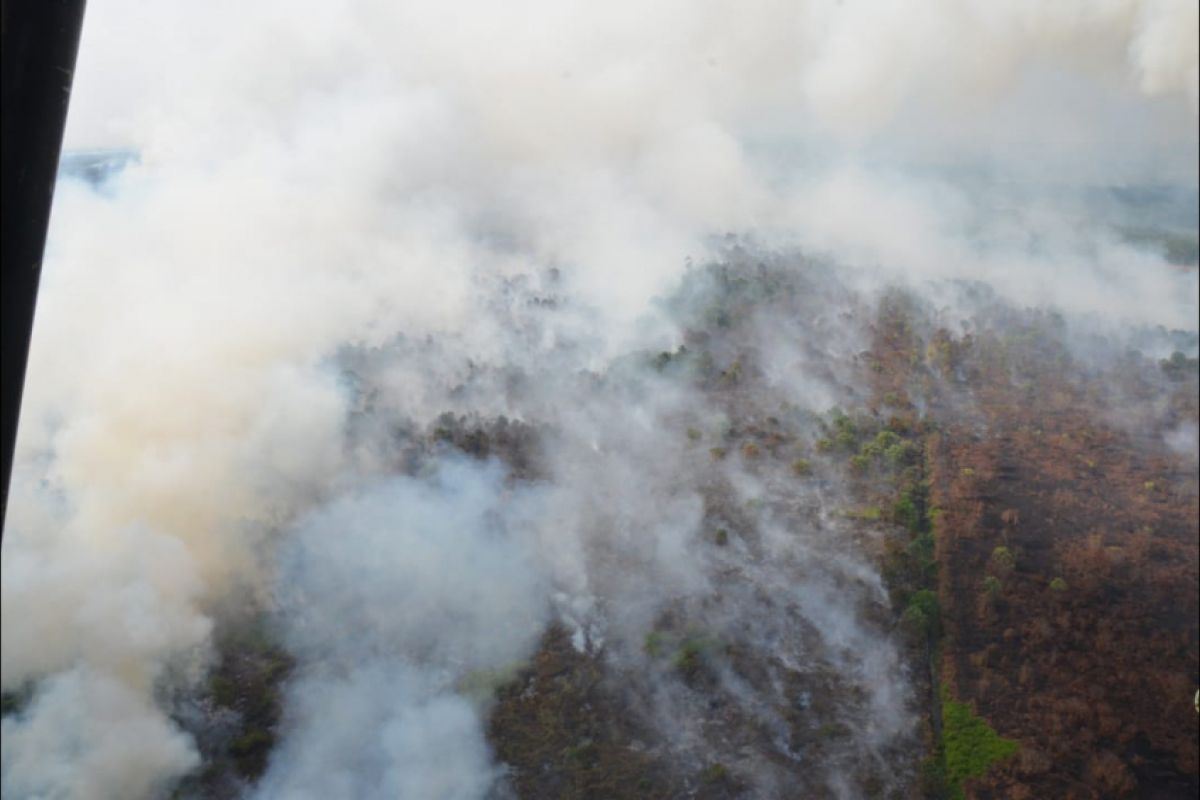 Pantau titik api antisipasi kebakaran hutan dan lahan.