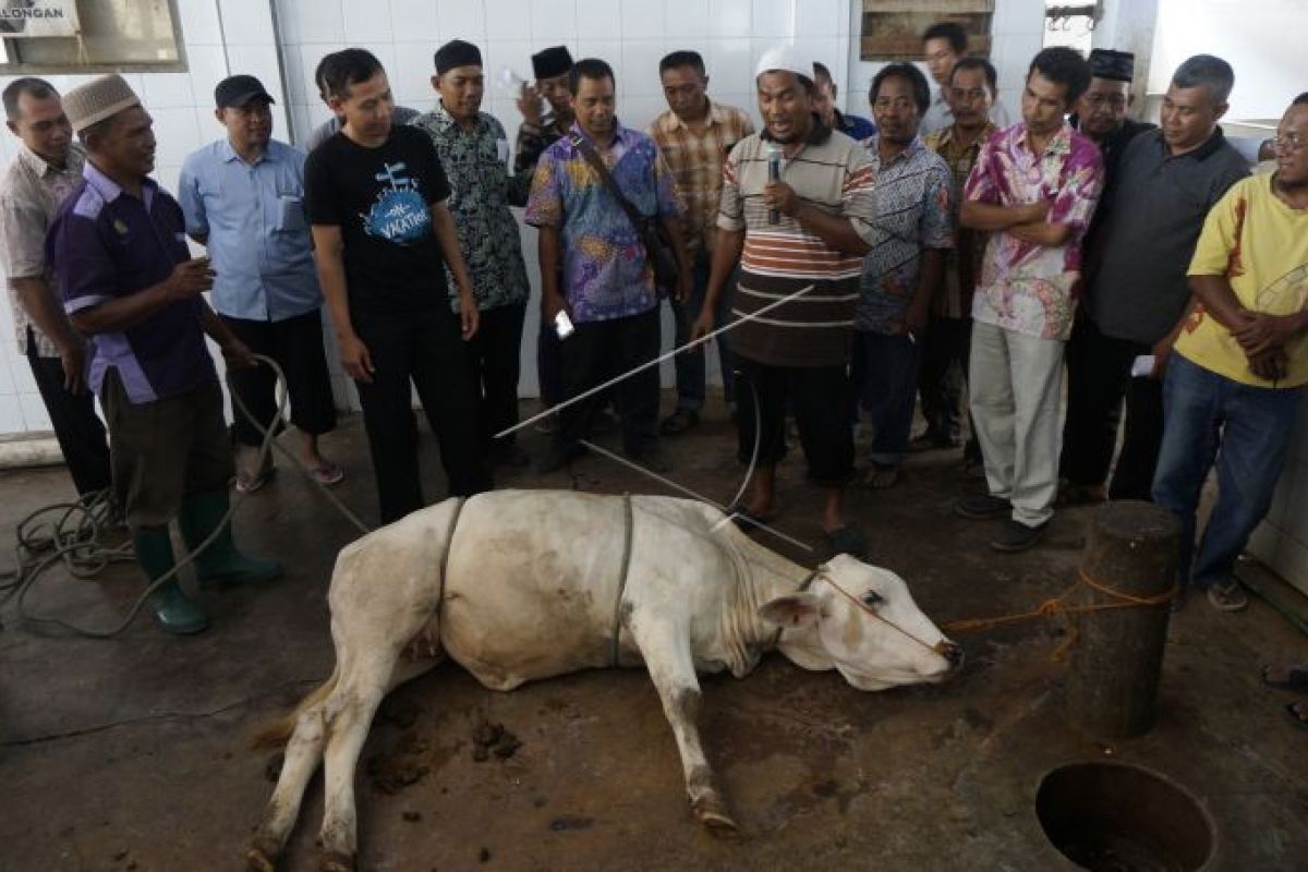 Disperta Kota Madiun gelar pelatihan penyembelihan hewan kurban