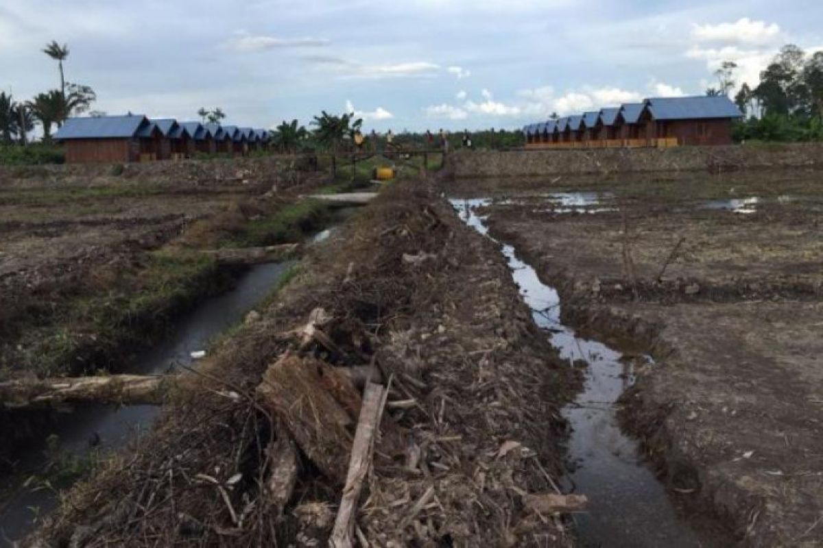 Bupati Asmat resmikan perumahan petani di Sagare